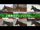 【POG】2歳馬カタログ2018 Part.1-1 / JRA-VAN[公式]