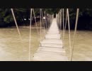 Video Footage Of Crossing A Bridge　中井川正男