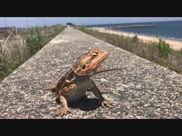 海を見て・・・・・何を思う？
