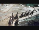 20180522 羽村市動物公園 グレープ君の “謎”