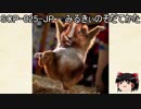 ゆっくりと一緒にSCPを紹介したい！その48【SCP】