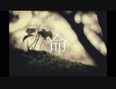 【初音ミク】命 【オリジナル】