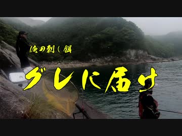 【魚釣り】 俺の刺し餌グレに届け！！part21