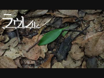 【初音ミク】ラウレル
