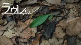 【初音ミク】ラウレル