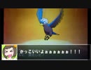 【ポケモンUSM】中堅ポケモン対戦録5「青ウォーグル前編」【字幕実況】