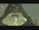 三十路喪女のゼルダの伝説ブレスオブザワイルド記Part4