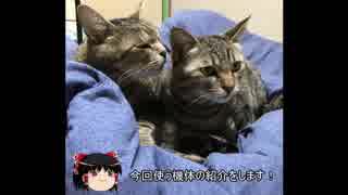 ゆっくりガンオンー名前はまだ無い！（遺跡編）