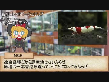アクアカス☆☆☆☆☆