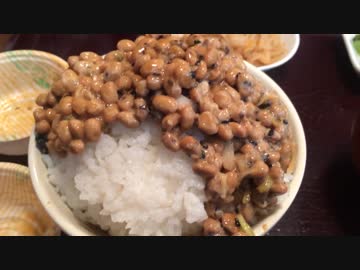 納豆食べ放題のせんだい屋／携帯顕微鏡／キャノンプラザ品川／人生相談