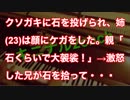 クソガキに石を投げられ、姉(23)は顔にケガをした。親「石くらいで大袈裟！」→激怒した兄が石を拾って・・・