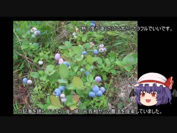 ゆっくり農民82ブルーベリーを育ててみませんか？