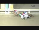 2018年5月24日大井競馬10R 新樹賞(B2-四組) アライア