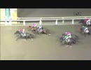 2018年5月24日大井競馬12R プレアデス賞(B1-二・B2-一) サヴァティアーノ