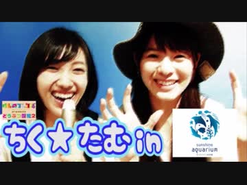 けものフレンズ presentsどうぶつ図鑑２ (通算26回) 5/24