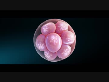 SUGIZO - THE LAST IRA - ATOLS Remix