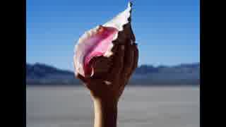 洋楽を高音質で聴いてみよう【1208】The Killrs  『Run For Cover』