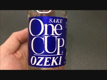 カップ酒を飲んでみた