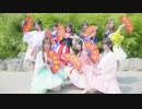 【欧派花园】❀寄明月❀