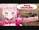 【悲報】バーチャルYouTuber田中ヒメPUBGで外人にボイチェン扱いされる。