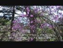 やまのぼり_part23_両神山【ゆっくり】