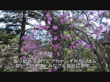 やまのぼり_part23_両神山【ゆっくり】