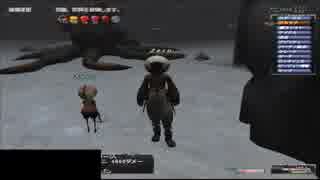 FF11 からくり士でセリーヌの倒し方
