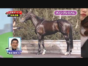 2018年　第85回 日本ダービー（東京優駿）（GⅠ）《岡田繁幸のダービー出走馬の馬体診断+α》