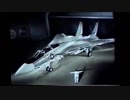 F-14トムキャット　トップガン、艦載機のエース