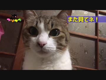 ニッニッニッってゆうあのアレ