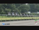 2018年 第85回 日本ダービー（東京優駿   GⅠ）【ワグネリアン】