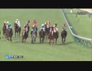 2018年　第132回 目黒記念（GⅡ）【ウインテンダネス】