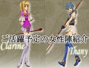 【ロイ＋女性縛り】主に女性が活躍するファイアーエムブレム封印の剣 第５章