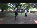 【代々木ハレオフ】Nyanyanya!盆踊り