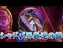 【シャドバ界最速の鯵】ゆかりさんの休日【シャドウバース実況39】