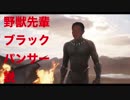 すっげえ黒くなってる。はっきりワカンダね。