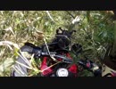 crf250rally GW能登林道（ごろチャレ）③