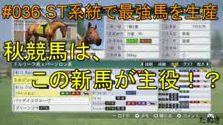 #036 Winning Post 8 2017 実況プレイ　～ST系統で最強馬を生産 1988年④～
