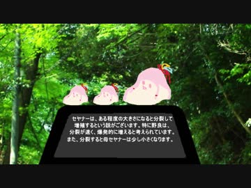 オチビを探して三百里　マッケンコー物語　第二話