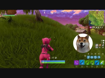 【Fortnite】絶対に犬堕ちしない建築サバイバル 【ゴールデンレトリバー編】