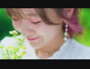 BOL4(볼빨간사춘기) - Wind(바람사람) [MV]