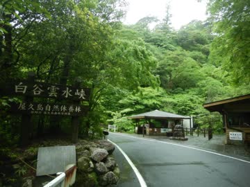 【ゆっくり】徒歩で日本一周part315【鹿児島→屋久島】