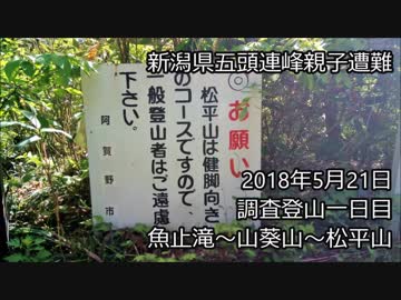 新潟県五頭連峰親子遭難　調査登山　魚止滝～山葵山～松平山～大雪渓手前まで往復　2018年5月21日実施