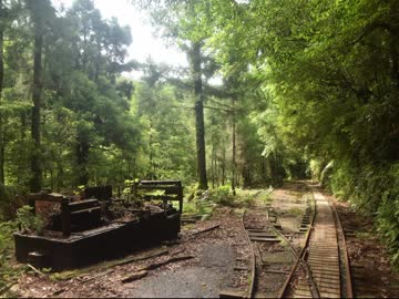 【ゆっくり】徒歩で日本一周part318【屋久島】