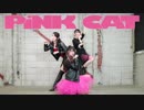 【Ä】 PiNK CAT 【踊ってみた】