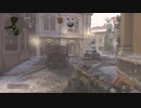 codww2　新SRボルトアクション。レビュー。初見。