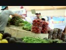 備海辰典 Vegetable Stand