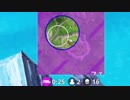 金武器の表技.fortnite16