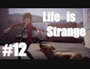 【Life Is Strange】野郎２人と時をかける少女 ＃１２