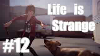 【Life Is Strange】野郎２人と時をかける少女 ＃１２